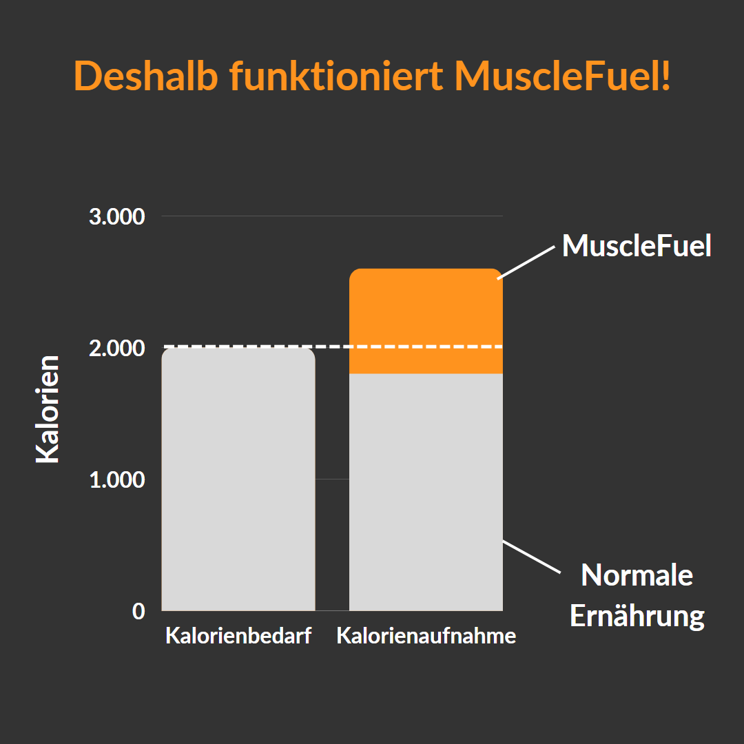 Starter Set MuscleFuel Zunehmshake - Gesund zunehmen ohne Qual!